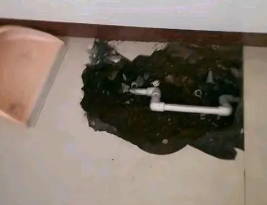 广安卫生间测漏水多少钱
